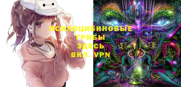 гашик Тавда