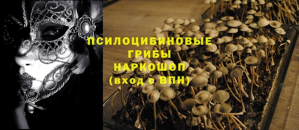 скорость Алексин