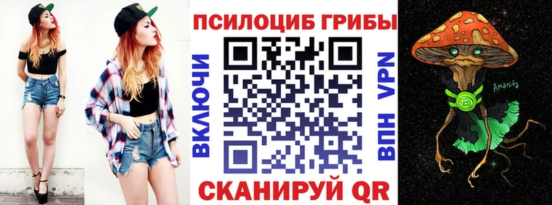 цены   Ипатово  ссылка на мегу маркетплейс  Псилоцибиновые грибы прущие грибы 